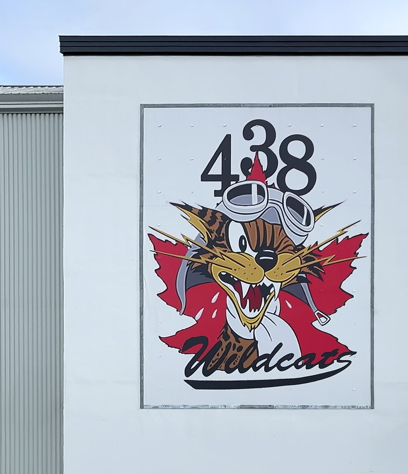 L’escadron des Wildcats comme vous ne l’avez jamais vu